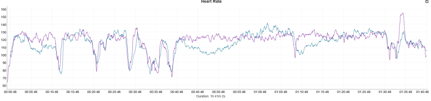 Schwimmen. Blau – Coros Pace 4, Lila – Polar Verity Sense.