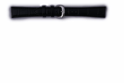 Leder-Uhrenarmband Orient UL019013J0 17mm (für Modell RA-AG00), blau