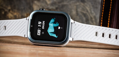 Body ID BodyGuard 5X, 4G, Gray