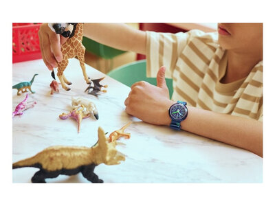 Flik Flak ZFPNP135 (Tiermotiv)