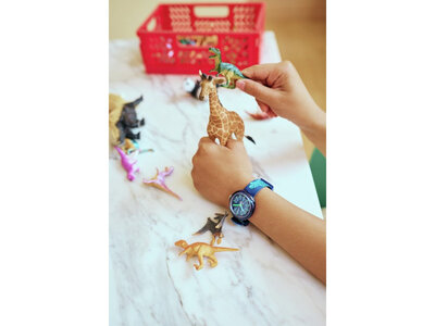 Flik Flak ZFPNP135 (Tiermotiv)