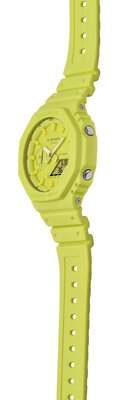 Casio G-Shock Original Tone-on-Tone GA-2100-9A9ER