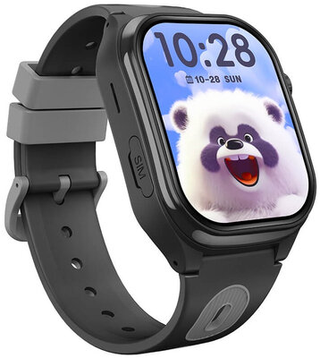 Body ID BodyGuard 6X, 4G, Black