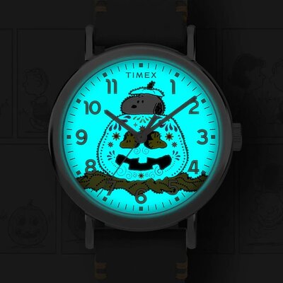 Timex Weekender x Peanuts Quartz TW2Y12300UK