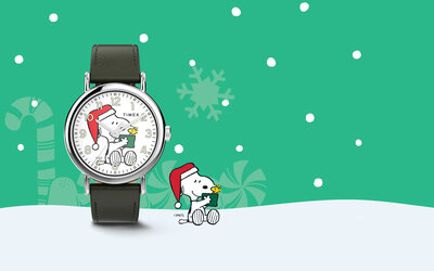 Timex Weekender x Peanuts Quartz TW2Y12400UK