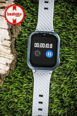 Body ID BodyGuard 5X, 4G, Gray